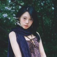甲芋